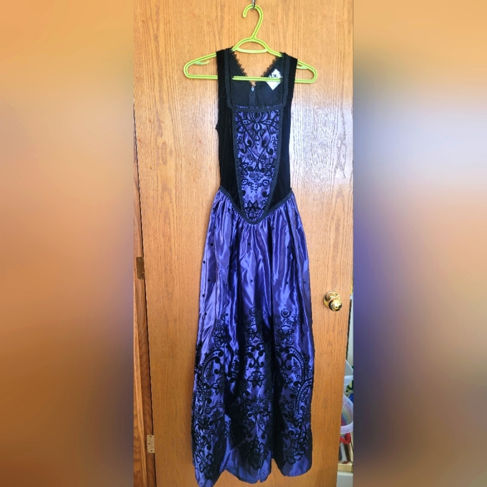 Gorgeous Gothic dress! Never before worn.